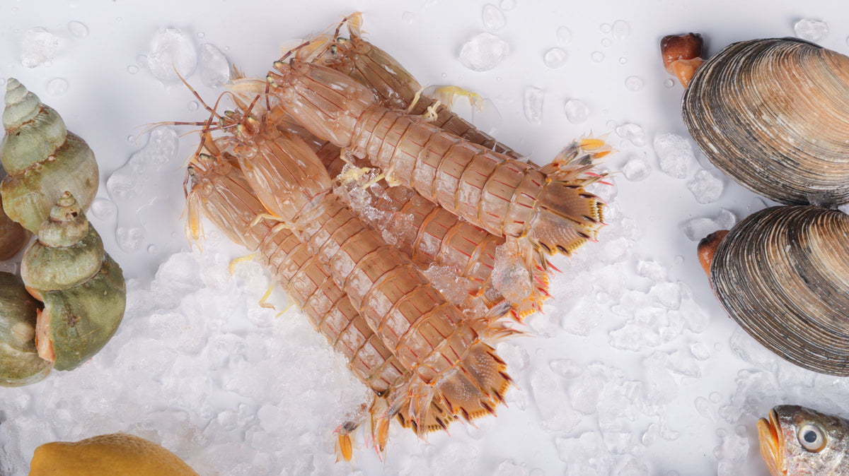 ABBEY-LEIGH DAWN FOUCHE frozen seafood